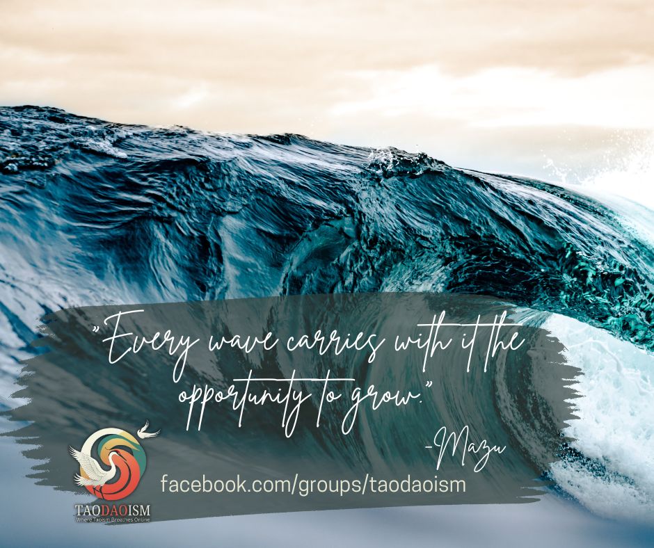 Every wave carries with it the opportunity to grow.